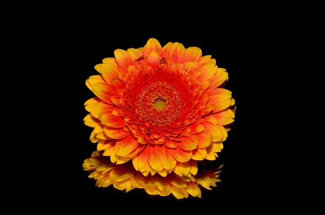 Plants: image 2 0f 4 thumb